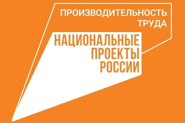 Федеральный проект «Производительность труда»